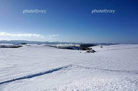 冬の北海道の牧場 写真素材 [ 5869399 ] - フォトライブラリー photolibrary