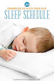 2 5 year old sleep schedule