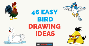 46 easy bird drawing tutorials