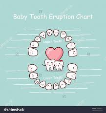 Hand Picked Baby Teeth Growth Chart Baby Book Print Outs