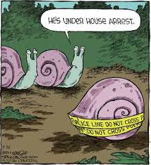 Image result for snail jokes