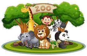 Zoo Vetores, Ícones e Planos de Fundo para Baixar Grátis