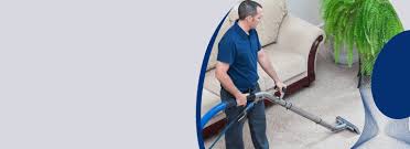 carpet cleaning melbourne reviews see