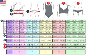15 Bra Size Chart Us Dolap Magnetband Co Breast Size Chart