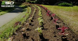 Flower Beds For Planting