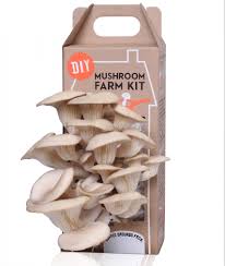 mushroom farm kit wildernis