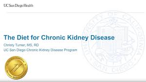 The Diet For Chronic Kidney Disease