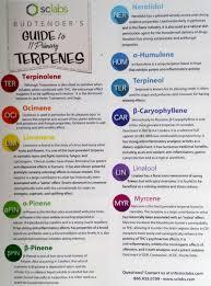 Guide To Primary Terpenes Unified Community