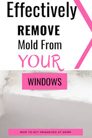 killing mold on window sills