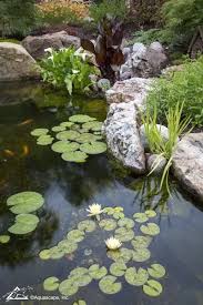 Pond Filtration