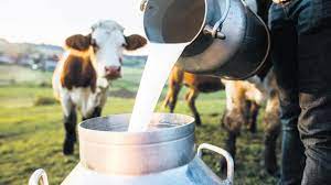 Süt fiyatları yüzde 47 artırılarak çiğ süt 4 lira 70 kuruş oldu!