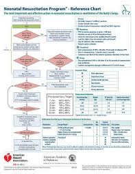 Nrp Neonatal Resuscitation Program Reference Chart Other Walmart Com