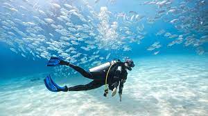 scuba diving in et thailand with