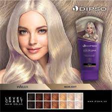 dipso dipso super shine hair color wax