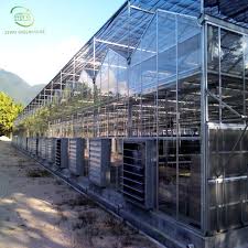 Ventilation System For Farm Agriculture