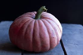 How To Cook With Real Pumpkin Tips For