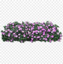 163 transparent png illustrations and cipart matching fiori. Fiori Viola Png Pink Flower Bush Png Image With Transparent Background Toppng