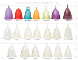 Menstrual Cups The Autism Friendly Guide To Periods