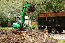 2024 forestry mulching s cost