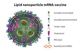 research on lipid nanoparticles and