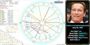 Pin By Astroconnects On Famous Leos Birth Chart Chart