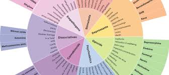 Drug Wheel Alcohol And Drug Foundation