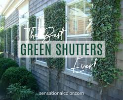 these are the best green shutters ever