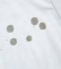 Removing Cooking Oil Stains From