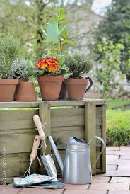 Potted Flowers And Aromatic Plants