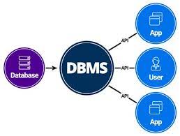 understanding database management systems