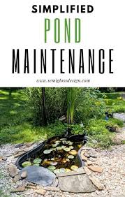 Easy Pond Maintenance For Beginners