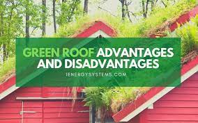 Green Roof Advantages And Disadvantages