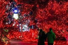 how-many-lights-does-the-cincinnati-zoo-festival-of-lights-have