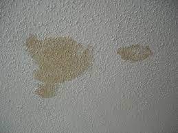 brown wet spots on ceiling carlson