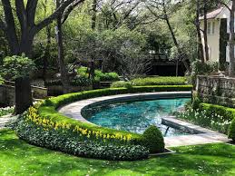 Inspiring Garden Design A Daffodil