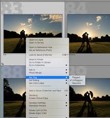 culling your photos in adobe lightroom