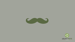 ubuntu 16 04 lts mustache wallpaper