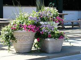 how to arrange outdoor flower pots 5