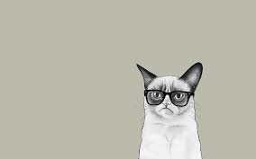 cute cartoon cat desktop wallpapers