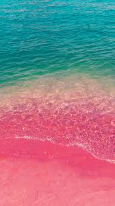 np20 sea water beach summer nature pink