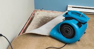 best carpet water damage cleanup