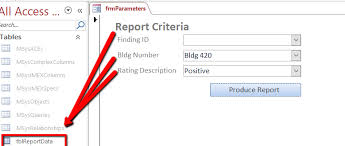 How To Make An Access Report Based On Form Inputs Visual