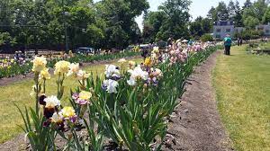 presby iris gardens montclair nj