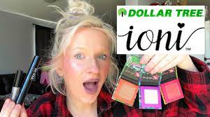 new ioni makeup from dollartree review