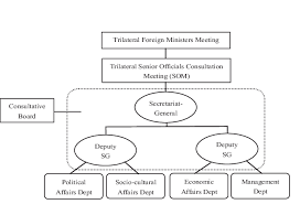 Executive Organizational Structure Of The Tcs Source Tcs