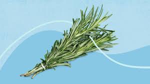 does rosemary water make your hair grow