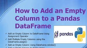 an empty column to a dataframe