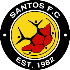 Squad, top scorers, yellow and red cards, goals scoring stats, current form. Santos F C South Africa Wikipedia