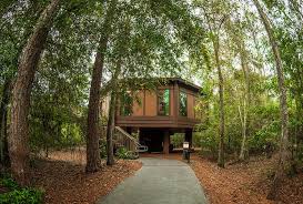 treehouse villas review disney