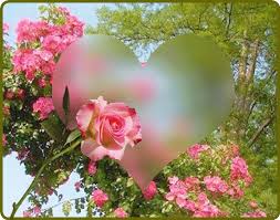 9b7fb1c06a1fb18dcc0044e45a179e7d | Imagenes lindas y tiernas, Flores bonitas, Flores